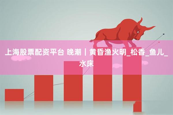 上海股票配资平台 晚潮｜黄昏渔火明_松香_鱼儿_水床